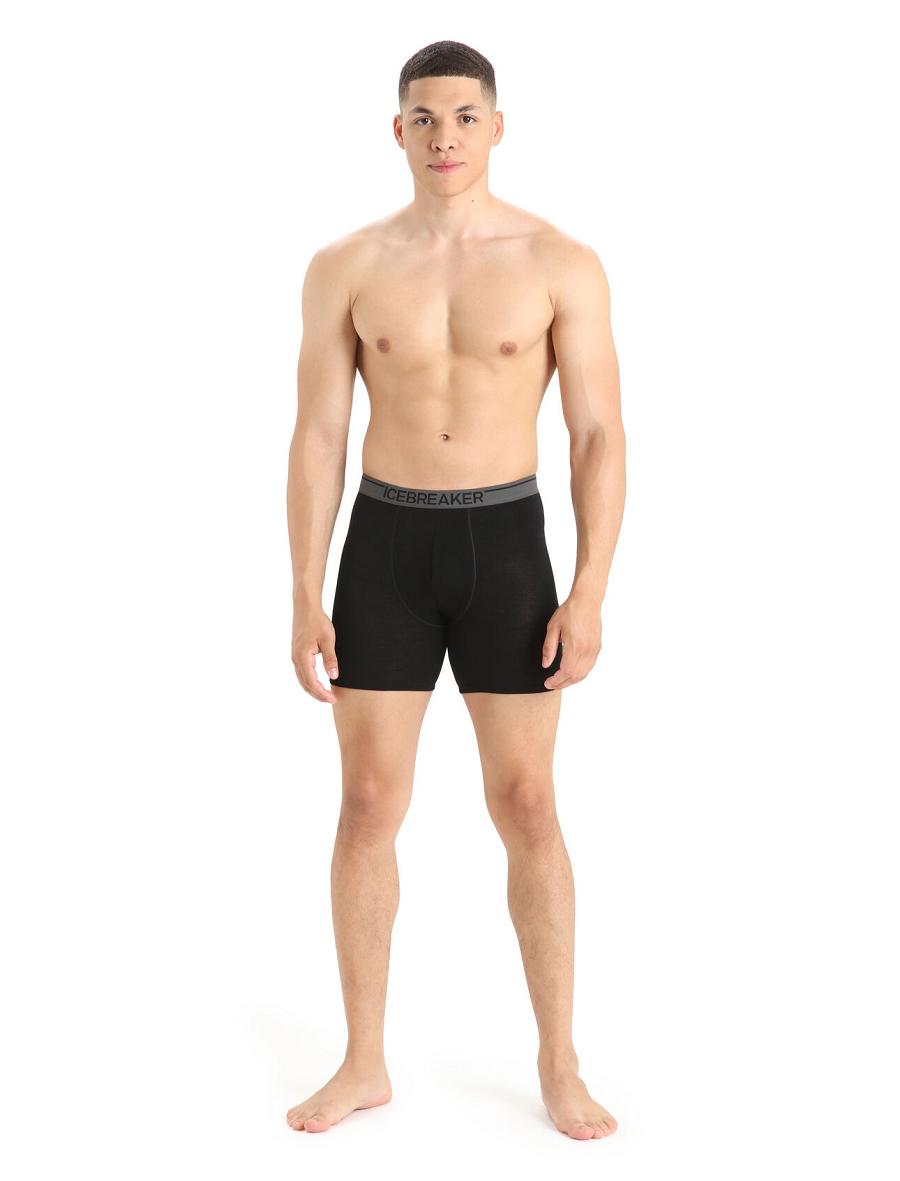 Sous Vêtement Icebreaker Merino Anatomica Long Boxers Homme Noir | FR 1285TCEV